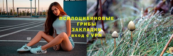 соль ск Михайловск