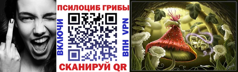 Галлюциногенные грибы Magic Shrooms  Навашино 